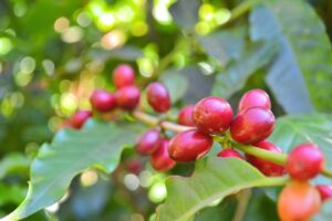 coffee-g560821019_1280
