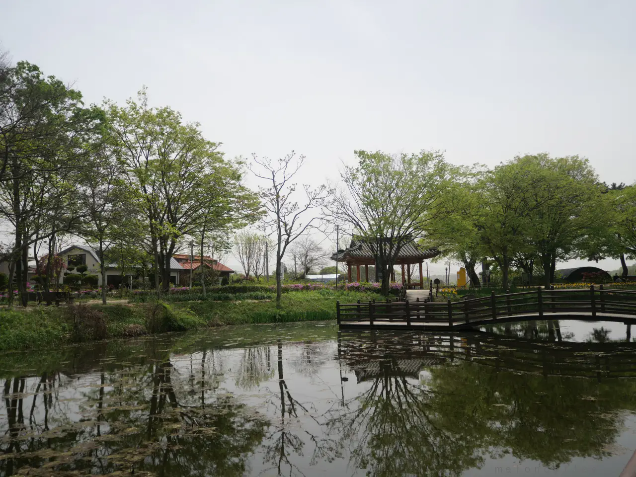 임시_강주연못6