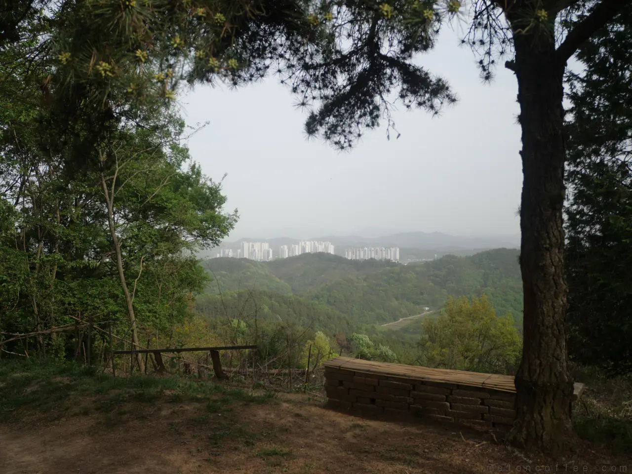 임시_망진산2