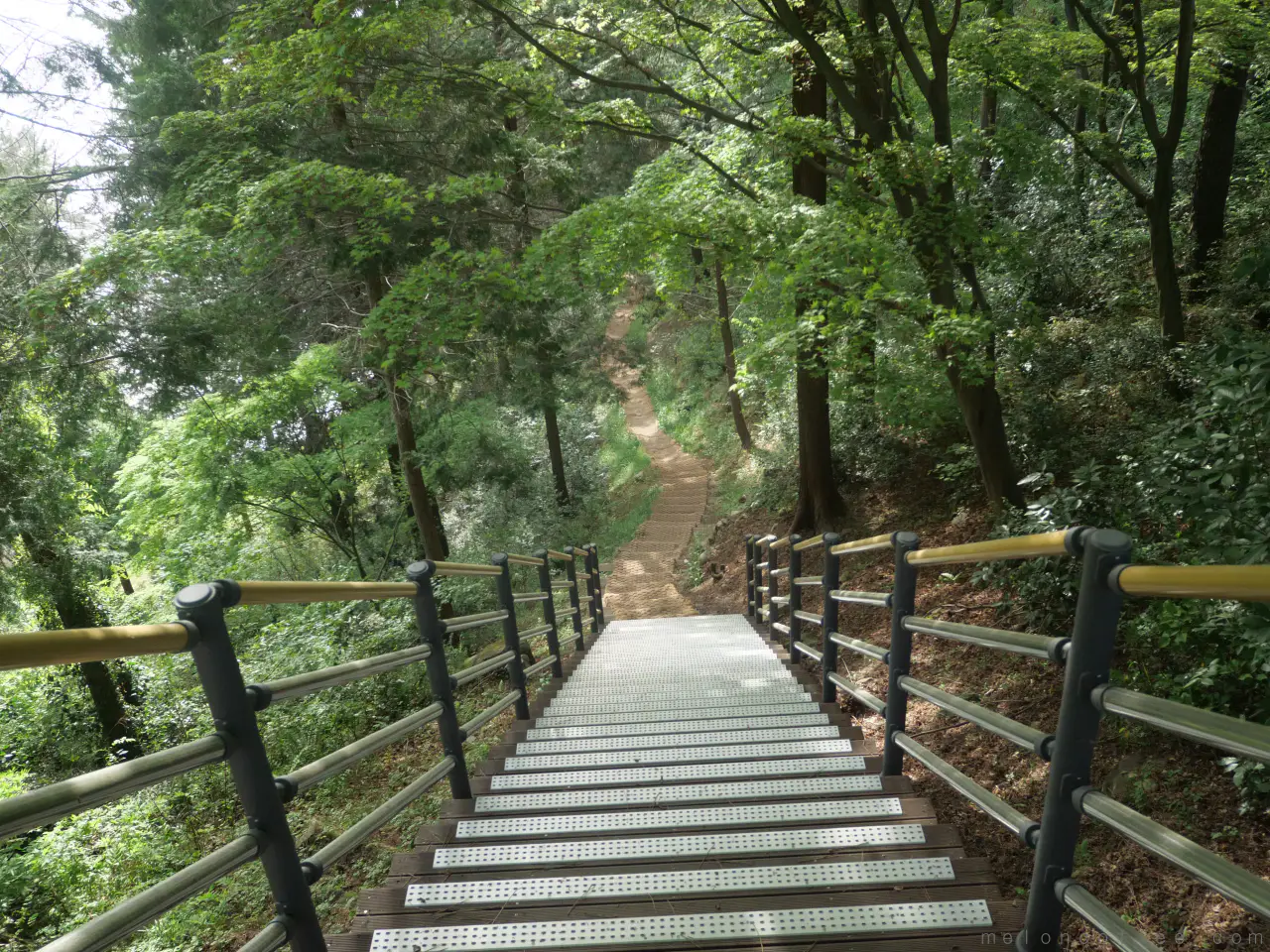 임시_진양호공원4