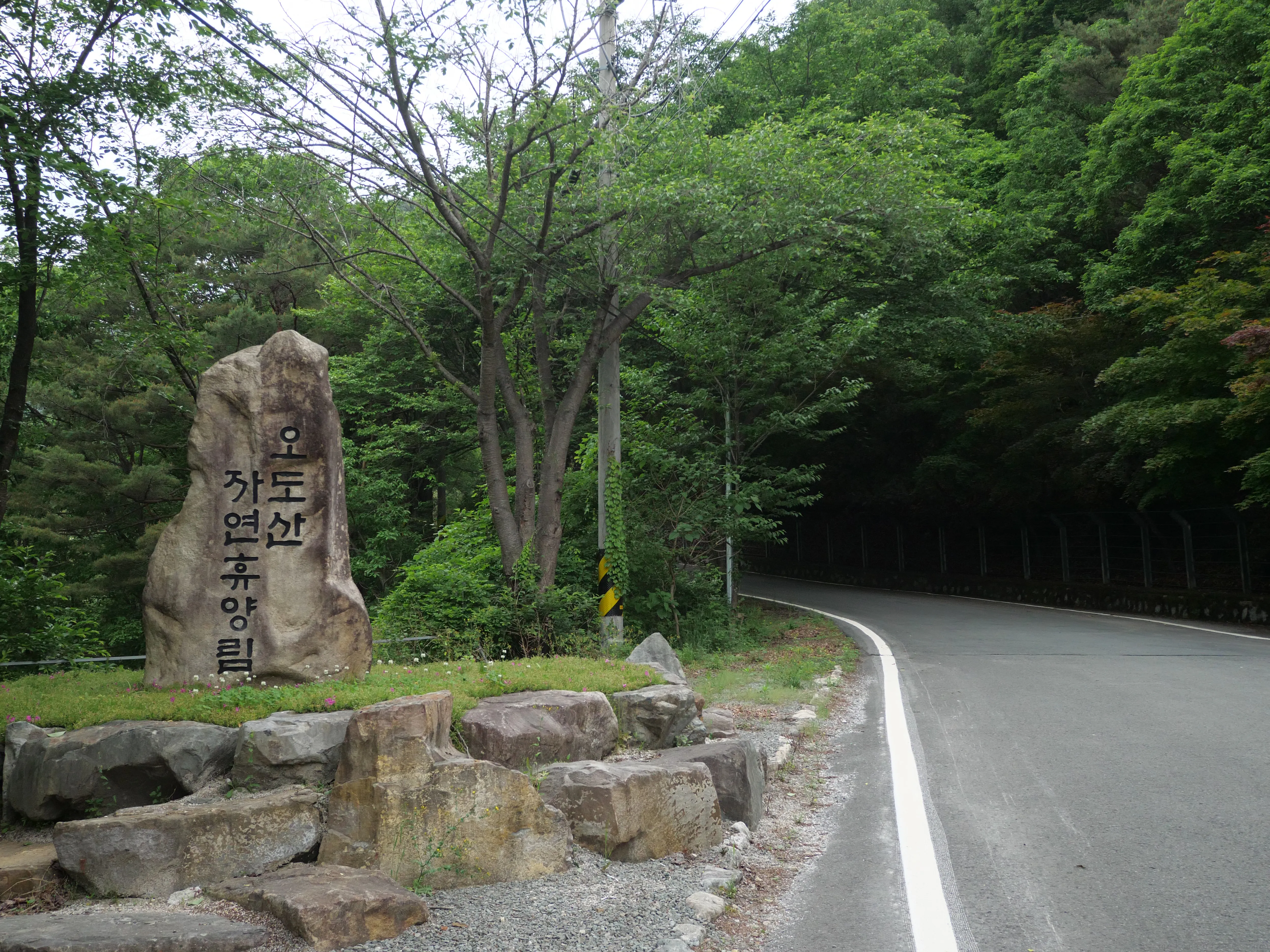임시합천_오도산자연휴양림3